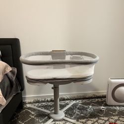 Halo Bassinet