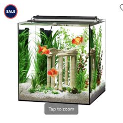 Aqueon Frameless Cube Aquarium 35 Gallon Fish tank for Sale in Los Angeles CA OfferUp