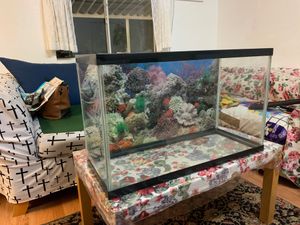 New And Used Fish Tanks For Sale In Escondido Ca Offerup