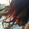 Araceli