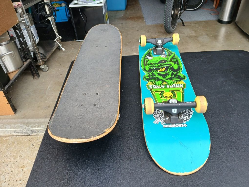 Birdhouse Tony Hawk Gargoyle Skateboards