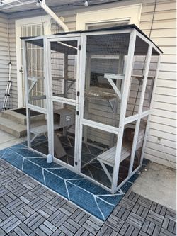Catio