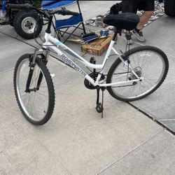 Roadmaster Mountain Bike