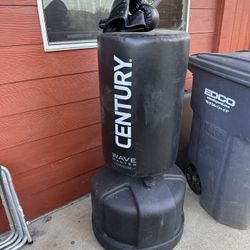 Punching Bag