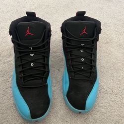 Jordan 12 Gamma Blue 