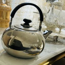 Stainless Steel Tea Kettle 