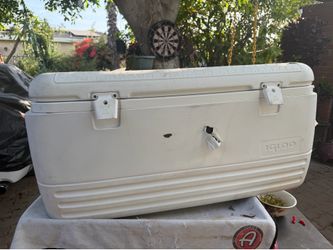 Igloo polar ice 120 qt cooler