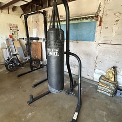 Punching Bag And Stand 