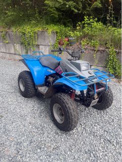 Polaris 250 atv