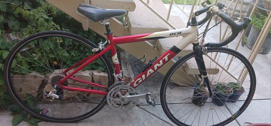 Giant Road Bike