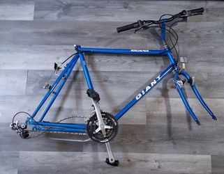 Giant Iguana Mountain Bike size "24