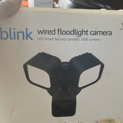 Two blink Security Cameras 