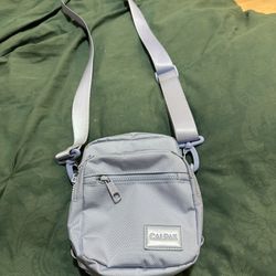 CalPak Purse 