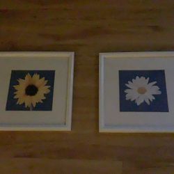 Set Of 2 Flower Framed Wall Art 