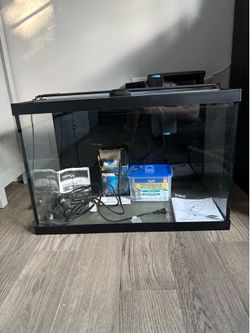 20g fish tank setup