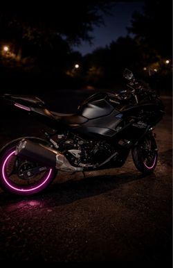 2026 Ninja 500