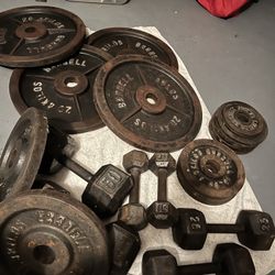 Olympic Plates, Barbell, and Dumbbells 