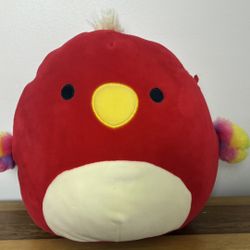 Paco The Parrot Squishmallows!