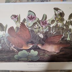 2 Antique Prints 