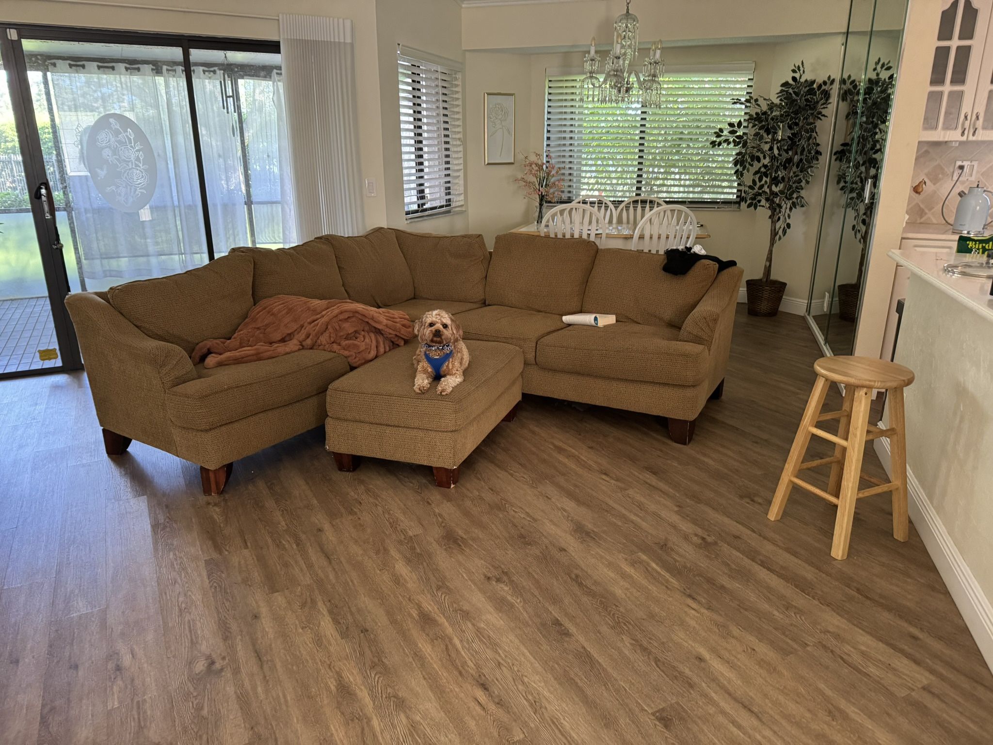 Amazing Quality Great Condition - Large L Couch -puppy not Included :) 