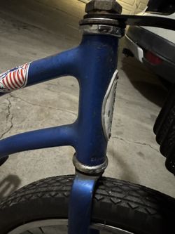 Schwinn 20in