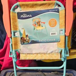 Disney Chairs