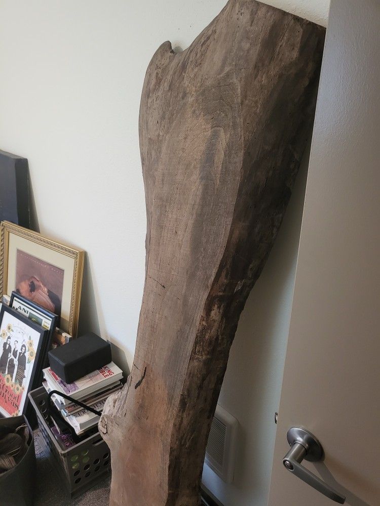 Walnut Slab. Rough Edge. About 5 Feet High And 3 Inches Thick.