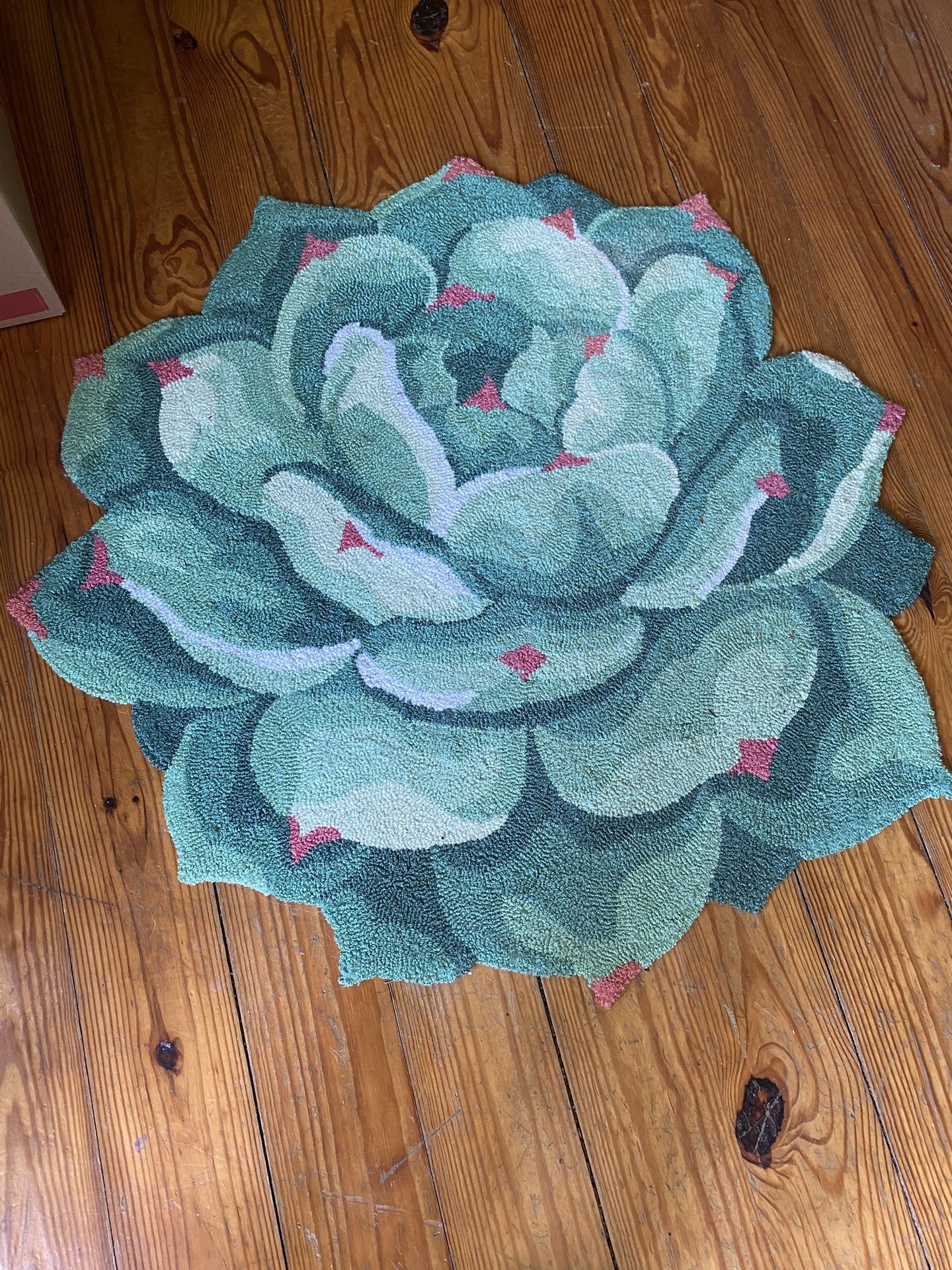 Succulent Rug 3’x3’