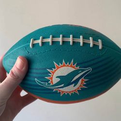 Miami Dolphins Football