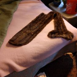 Mink Dog Coat. Fits Big Dog. $45