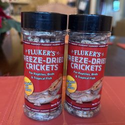 Freeze Dried Crickets 