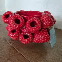 Brand New Ceramic Raspberry Pot 