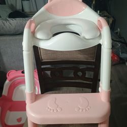 Baby potty training seat with 2 step ladder