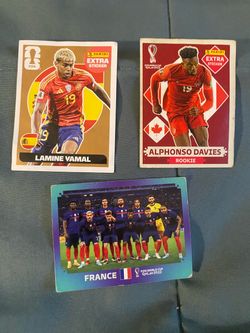 Panini World Cup stickers