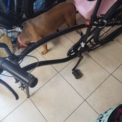 Tuesday Cruiser Bike Black