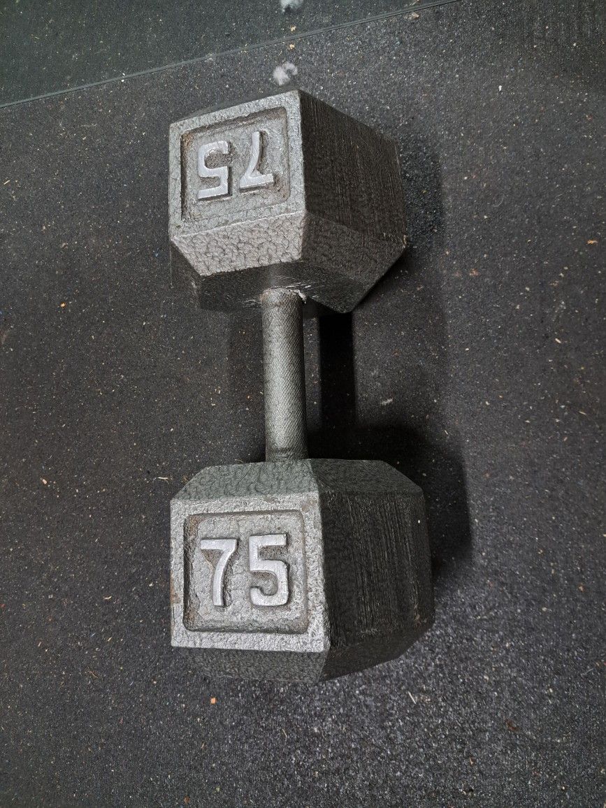 75lb Dumbell!