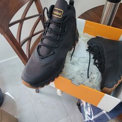 Size 12 Men Timberland 