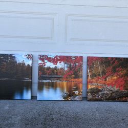 3-piece Canvas Photo Of Nature Lake Scene