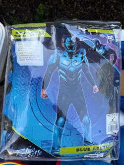 Blue beetle costume