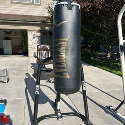 Punching Bag 