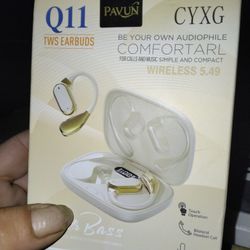 Q11 Earbuds