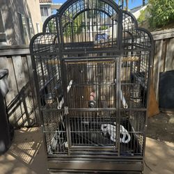 Large Parrot Cage 