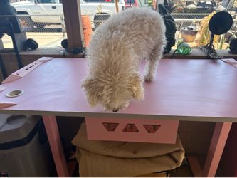 Pink Desk