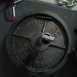 2 x 100  lb Olympic weight plates