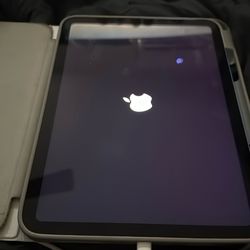 iPad 10th Generation 10.9 in.