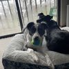 Lucy