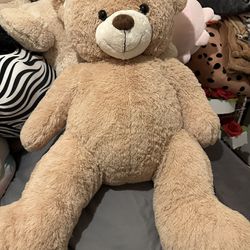 Huge Teddy Bear! 
