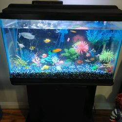 Fish Tank With Stand