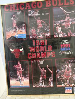 Chicago Bulls Picture