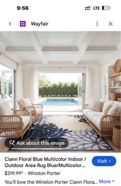 Beautiful outdoor/indoor rug